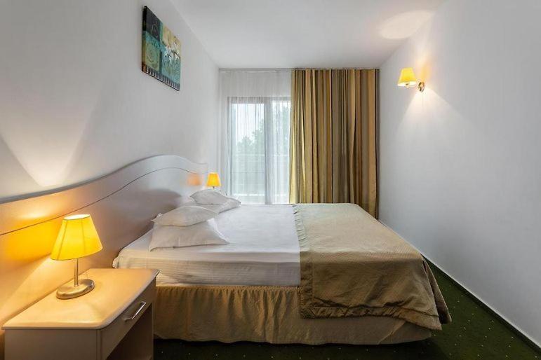 Complex Bran Brad Bega Hotel
