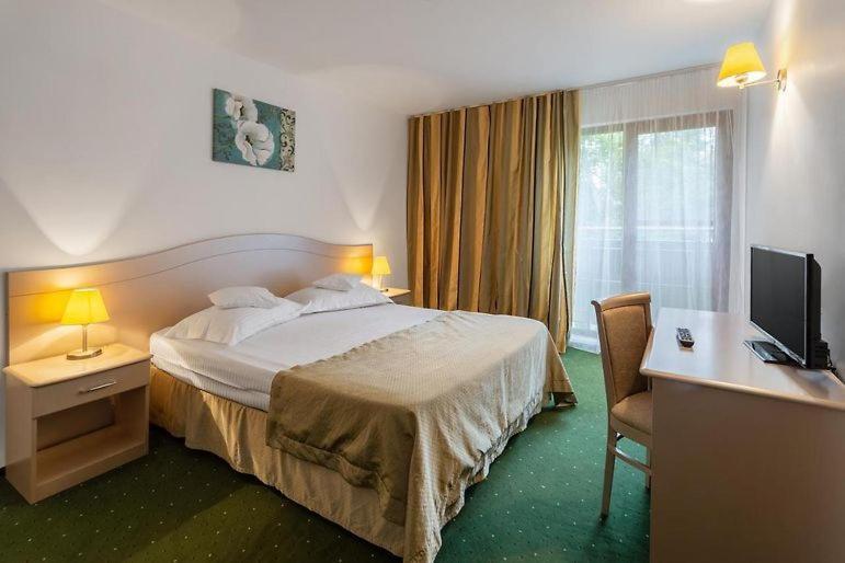 Complex Bran Brad Bega Hotel